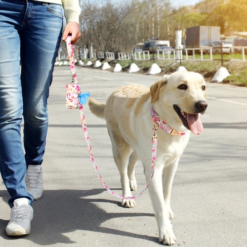 Personalisiertes Hundehalsband Blumen Blume + Leine + Abfallkotbeutel Spender Halter  - Bild 7 von 24