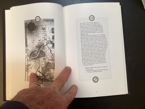 THE VERTIGO TAROT 1995 1. Auflage Hardcover nur Buch Dave McKean - Bild 13 von 20