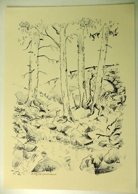 H.Engler Christiansen Federzeichnung Bäume 28x20 cm To-6194 - Bild 1 von 3