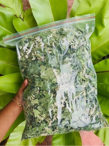 Mexikanisches Traumkraut Calea Zacatechichi | Bio handverlesene Blätter für Tee - Bild 10 von 12