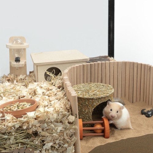 Jouets De Pont mode En Arc Bois À Mâcher Pour Hamster Arche Vierge