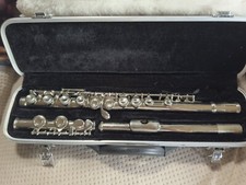 SKY USA Flute With Carry Case