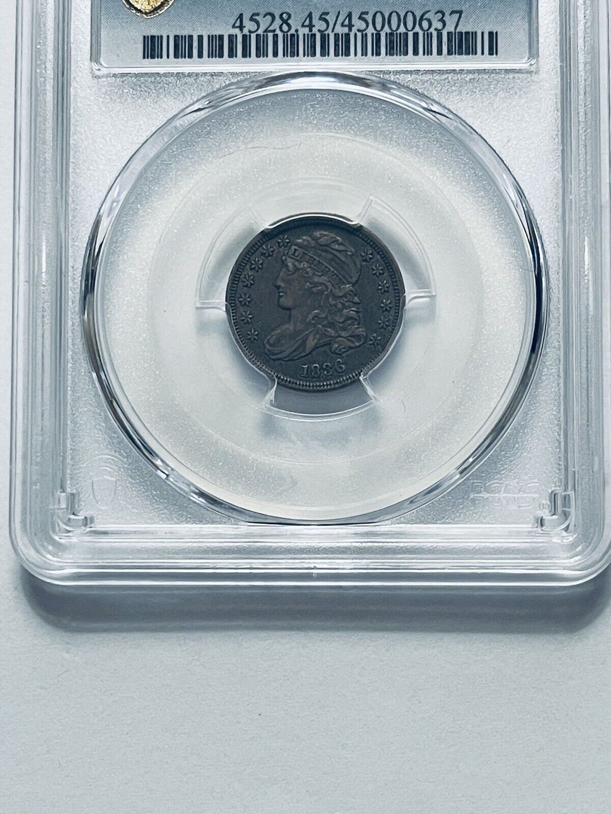 Picture 7 of 12