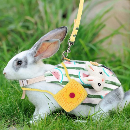 2 Sets Vêtements boutiques De Lapin Jeune Marié Costume Pour Animaux Compagnie
