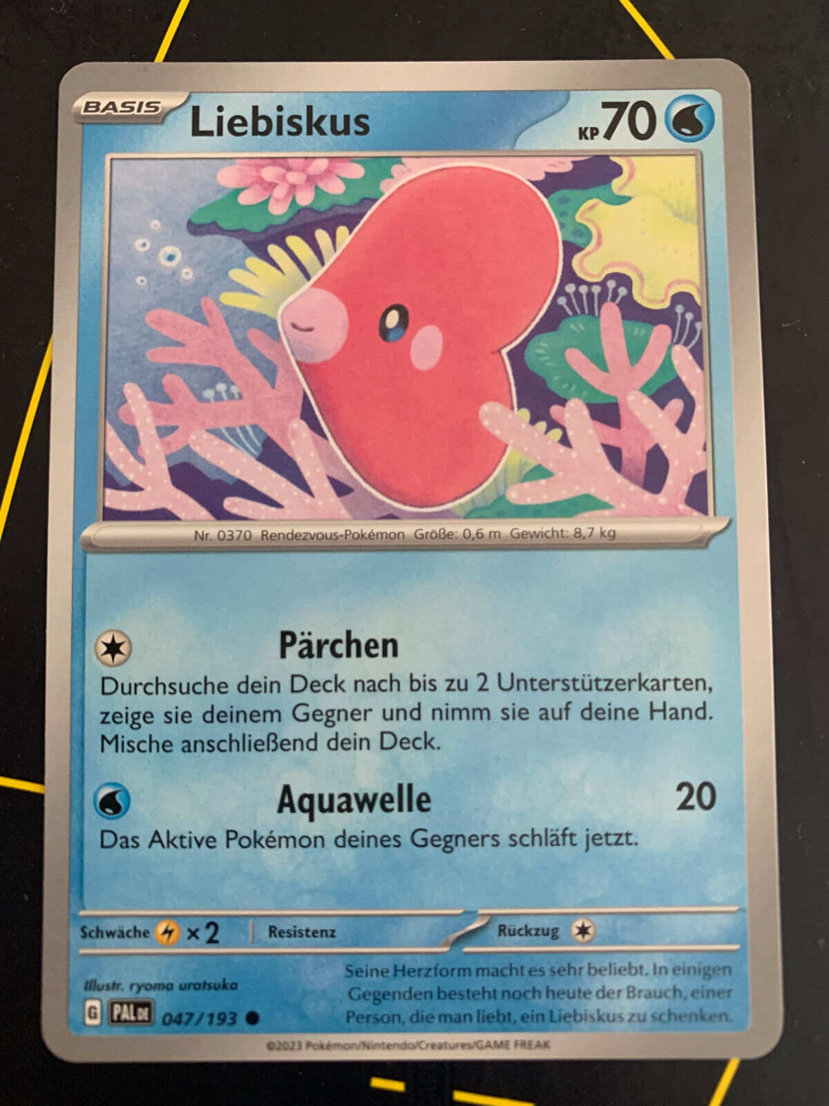 Bild 120 von 495