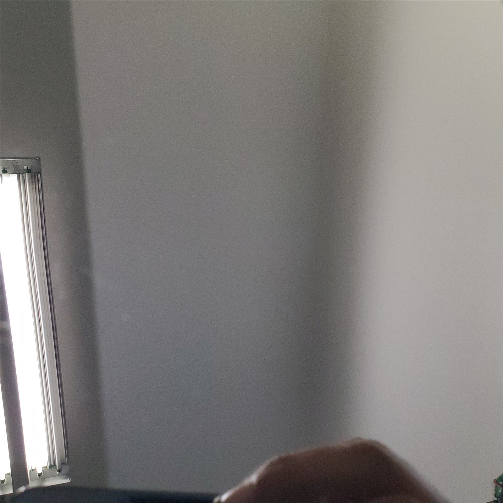 Picture 5 of 12