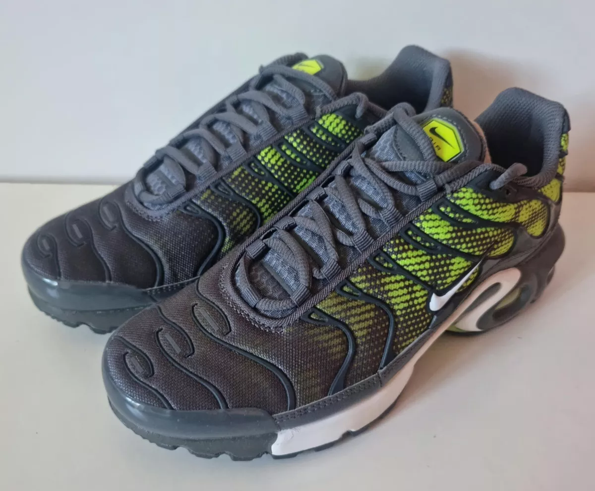 BASKETS NIKE AIR MAX TN PLUS GRIS VERT 655020-076