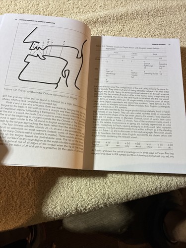 Understanding the Chinese Language : A Comprehensive Linguistic Introduction by - Picture 10 of 19