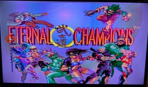 Eternal Champions (Sega Genesis) Complete - Tested - Clean - Excellent - Picture 21 of 22