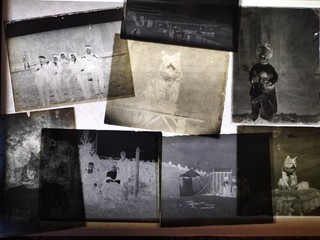 Job Lot 30 Antique Victorian Glass Plate Negatives Old Photos Men Women Cat UK..