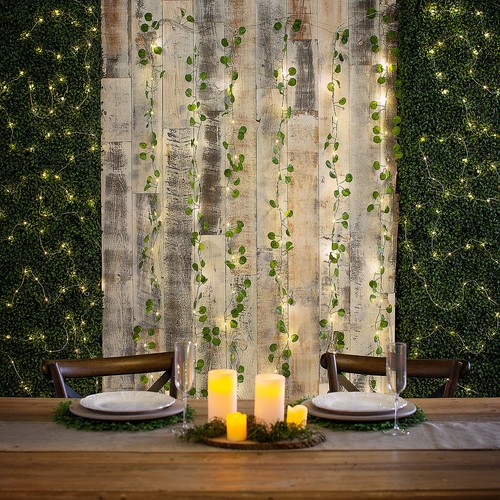 Fun Express Eucalyptus LED Light Curtain - Bild 1 von 3
