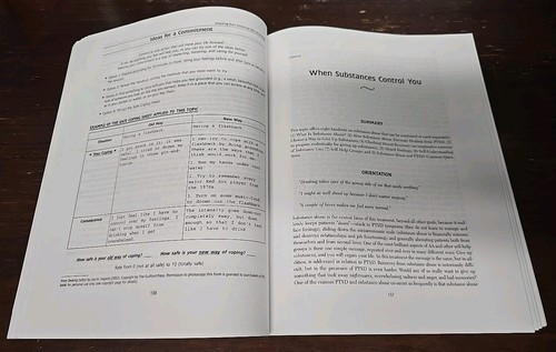 Seeking Safety: A Treatment Manual for PTSD and Substance Abuse Guilford - Picture 3 of 3