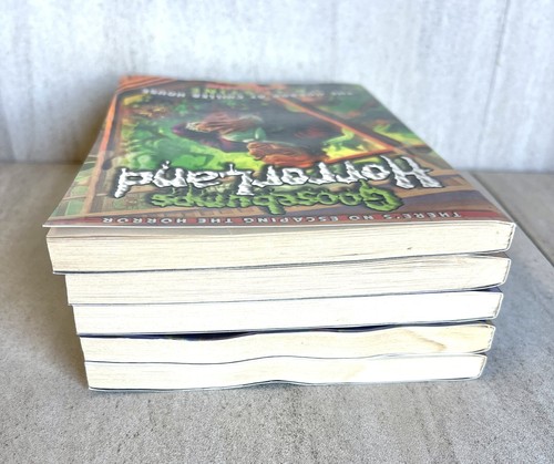Gänsehaut HorrorLand Lot R.L. Stine 5 Bücher Chiller House Spukmaske - Bild 8 von 8