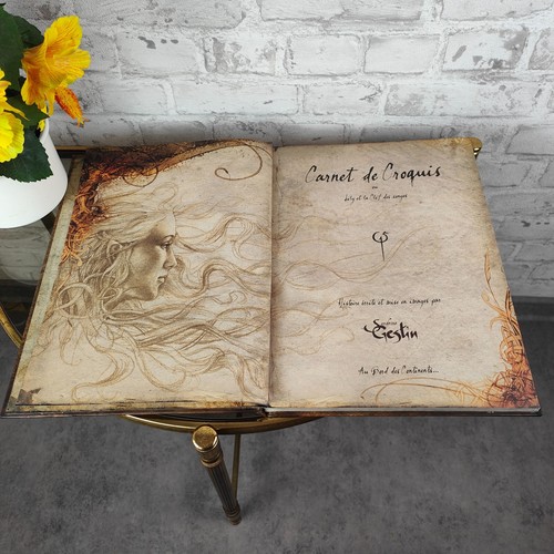Carnet de Croquis ou Lily et la Clef des songes Sandrine Gestin gebunden 2007 - Picture 4 of 12