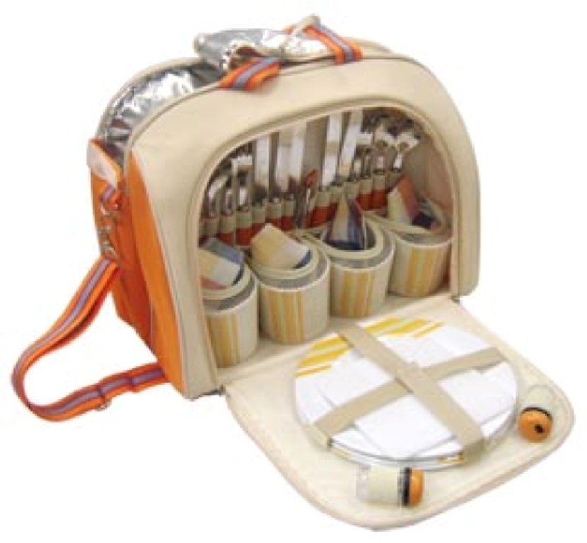 4 person picnic hot sale bag