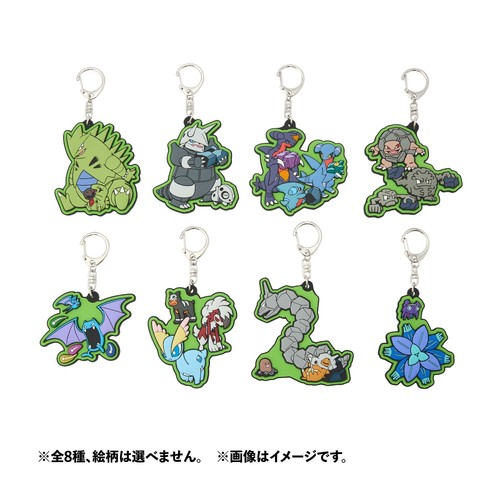 PSL Pokemon Center Original Goods Fossil Pokemon in CAVE DWELLER Japan New 2025 - Picture 37 of 37