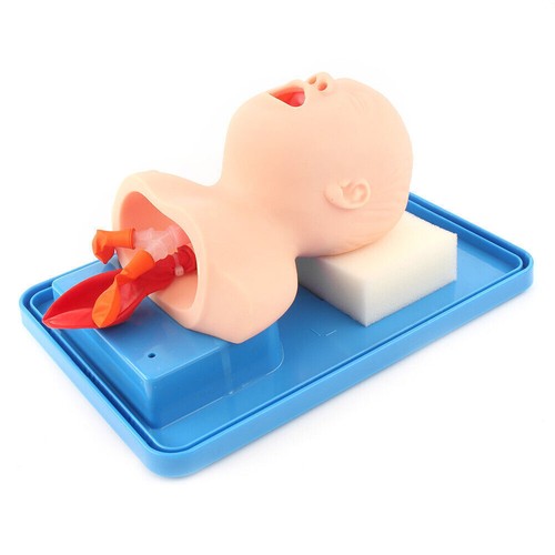 Intubationspuppe Trainer Studium Lehre Baby Säugling Modell Atemwegsmanagement - Bild 6 von 11