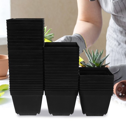 50pcs Creative Succulents Nursery Floral Holder Organizer Garden Supplies - Picture 10 of 12