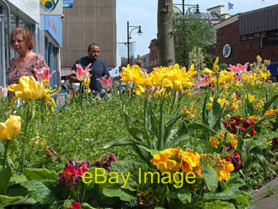 Foto 6x4 Frühlingsblumen Oldham einer von mehreren gepflegten Pflanzgefäßen um 2008