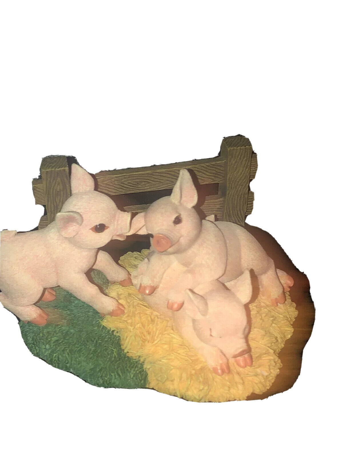 Picture 4 of 12