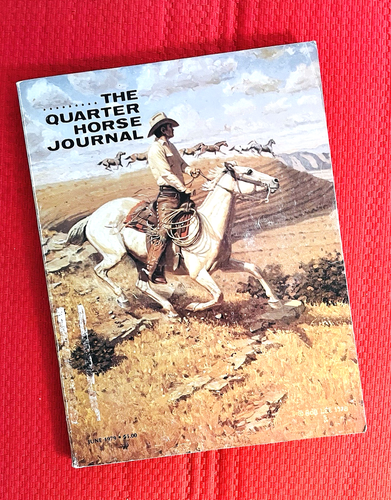 1979 QUARTER HORSE Journal - "DOC BAR" 10 PAGE ARTICLE + PHOTOS! - DOC'S LYNX - Foto 2 di 23