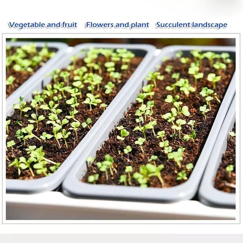 Self-Watering Auto Feeding Smart Vegetable Plant Grow Bed Pot Kit SC03 - Picture 2 of 4