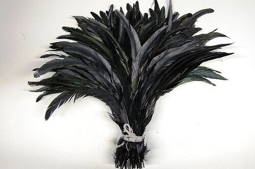 50 pz CUSTODIA GALLO PIUME 12-16 POLLICI NERO IRIDESCENTE (costume/Halloween) - Foto 6 di 10