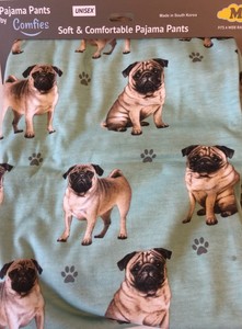 pug in pants