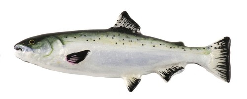 Pewter Coho Salmon Fish Ocean Lapel Pin or Refrigerator Magnet, Made in USA F046 - Picture 8 of 9