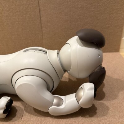 Sony AIBO ERS-1000 Robot Dog Ivory White + Accessories