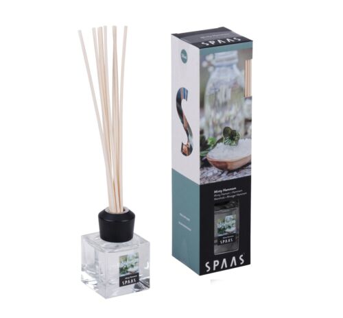 Diffusore ancia 50 ml deodorante per la casa set profumo aromatico SPAAS - Foto 21 di 28
