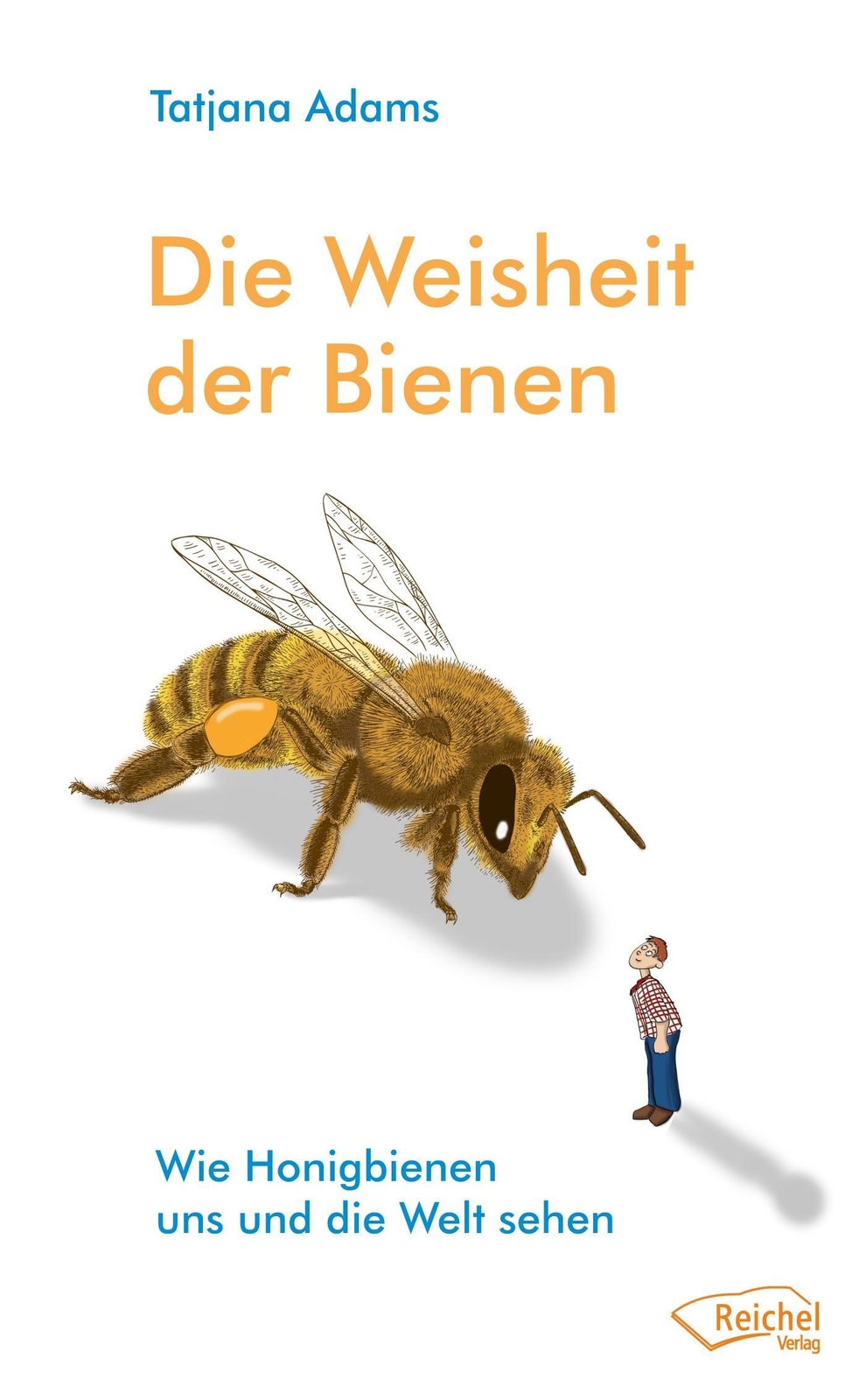 Thumbnail - Die Weisheit Der Bienen | Wie Honigbienen Uns Und Die Welt Sehen |