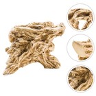  Sukkulenten Blumentopf Blumentöpfe Desktop-Schmuck Desktop-Ornament