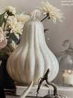 NEW Pottery Barn Silver Frost Mercury Glass Gourd Pumpkin Fall Thanksgiving NWT