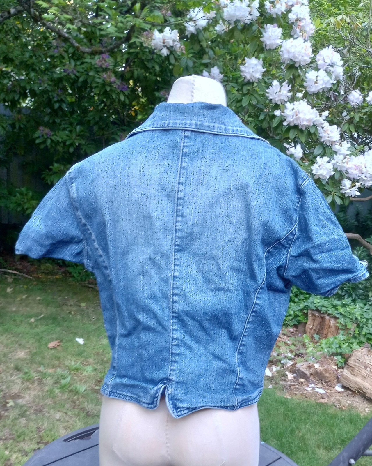 Picture 2 of 4
