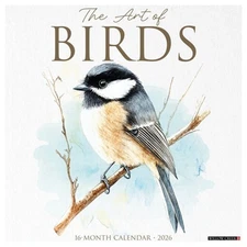 The Art of Birds 2026 12 X 12 Wall Calendar (Bookbook - Detail Unspecified)