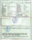 Foto 10 di 10