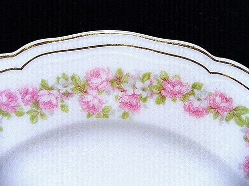 Rare Vintage PH Leonard Vienna, Austria AUS6/TK Thuny "Victorian Rose" Porcelain - Picture 2 of 121