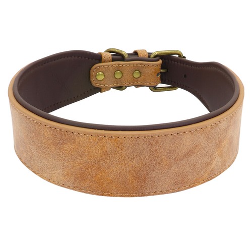 Weiches Leder gepolstertes Haustier Hundehalsband 4-5 cm breit verstellbar mittel/groß Windhund - Bild 3 von 22
