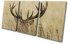 Stag in Grass Cream Sepia Deer Elk Animals TREBLE CANVAS WALL ART Picture Print
