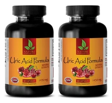 blood sugar food - URIC ACID FORMULA - complete digestion supporter 2 BOTTLE