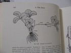 Picture 7 of 10