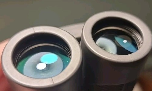 Bushnell H2O Waterproof Binoculars 10x25 with Case - Picture 5 of 5