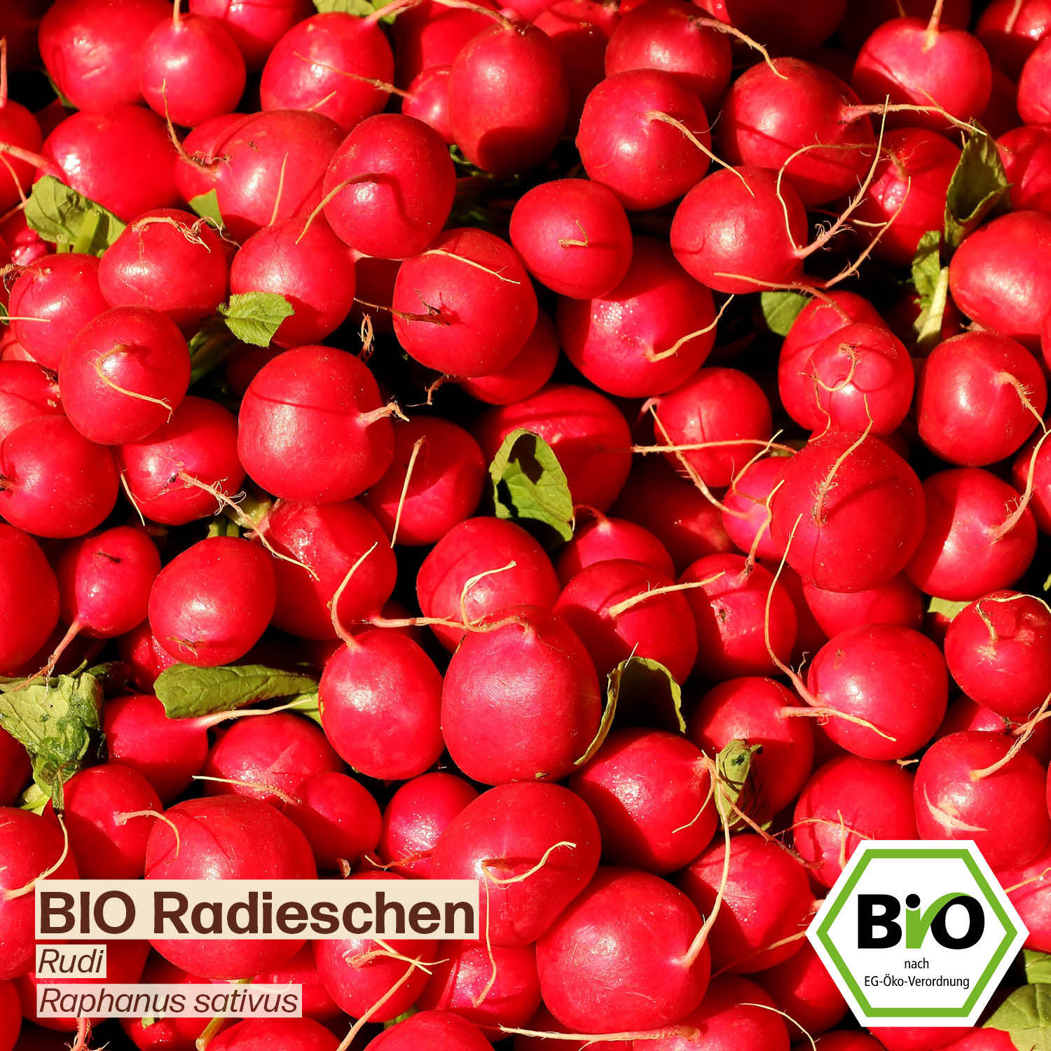 Bild 3 von 8