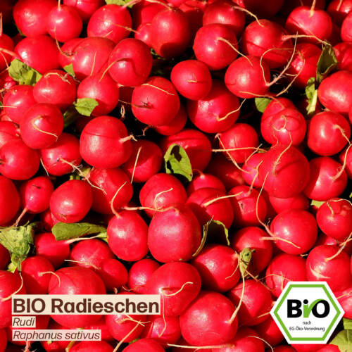 BIO Radieschen Samen Rudi Gemüse-Samen Saatgut Radieschensamen - Bild 3 von 8