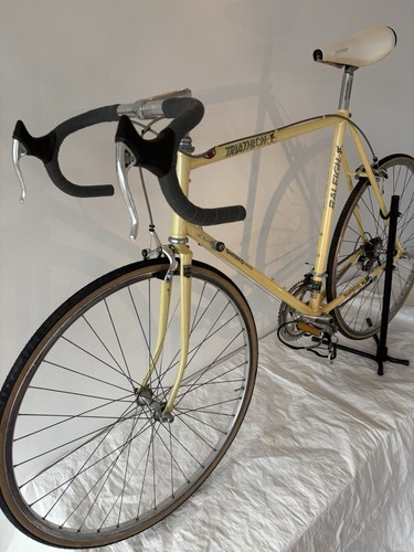 Rennrad Klassiker Raleigh Triathlon