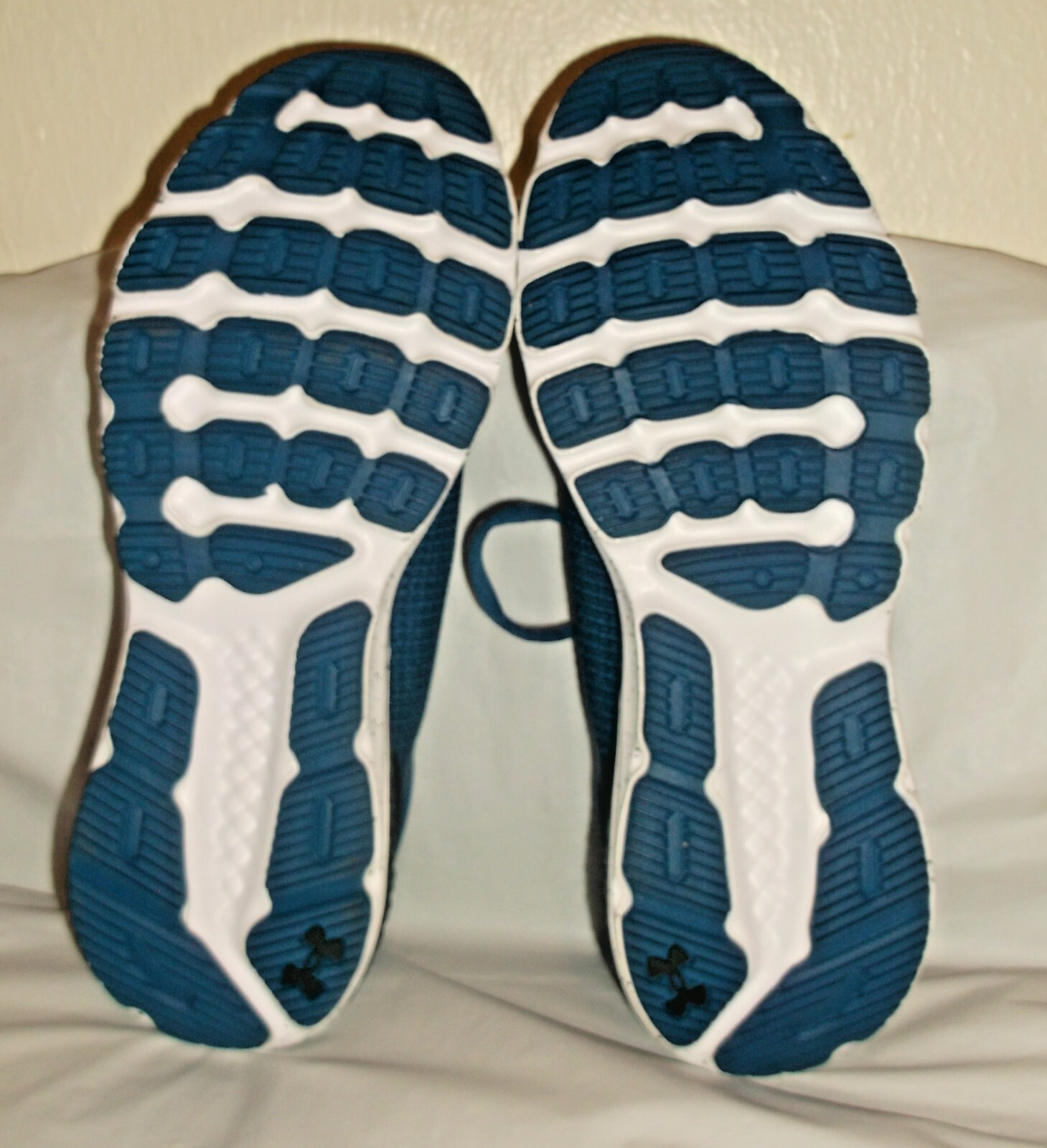 Picture 6 of 6