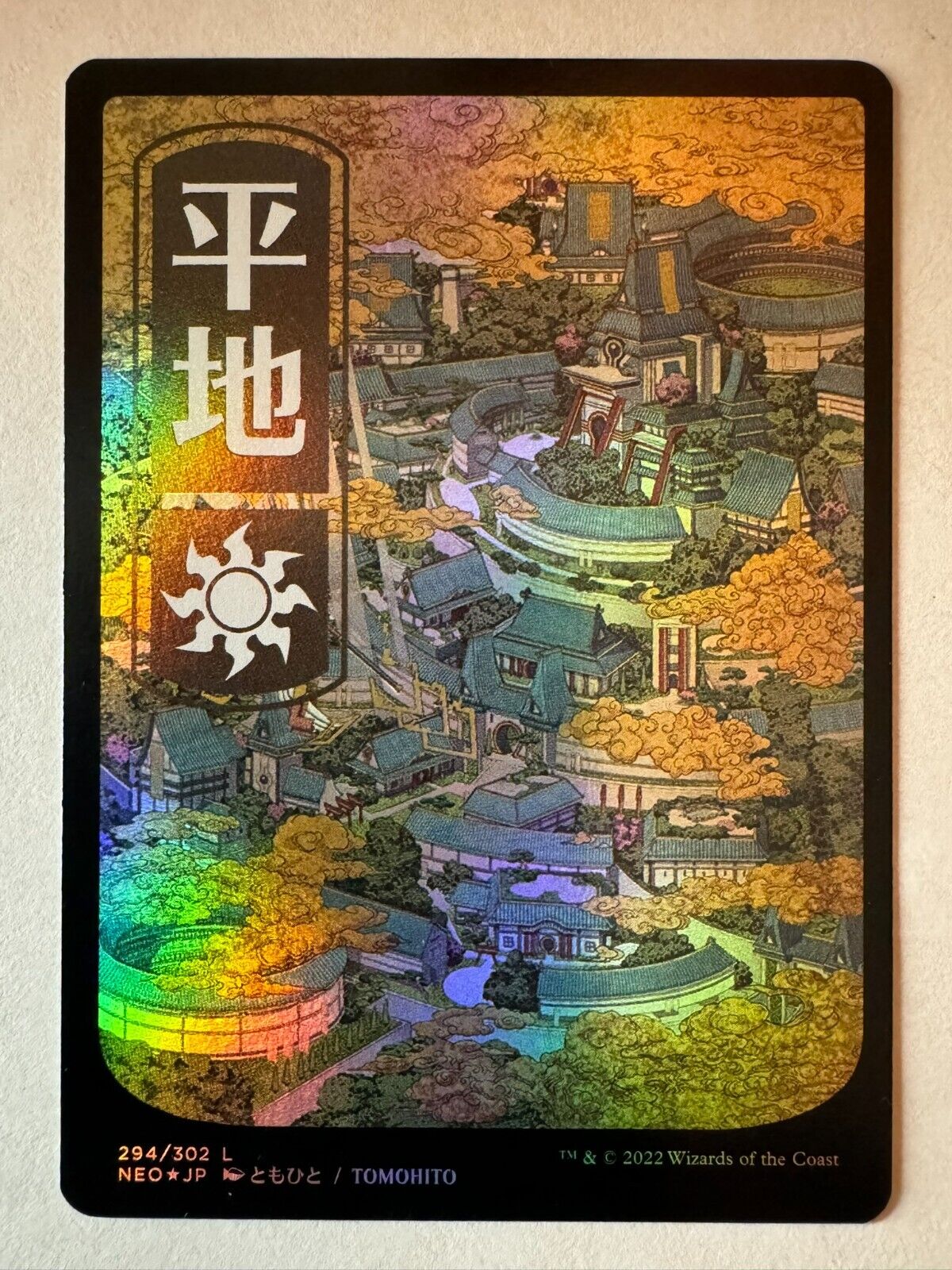 Picture 1 of 1