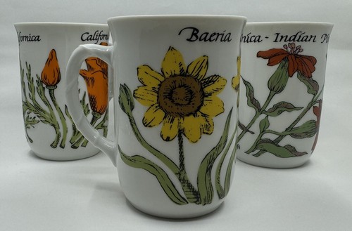 Vintage Scientific Flower Names Floriculture Mugs Cups Poppy Californica - Picture 2 of 11