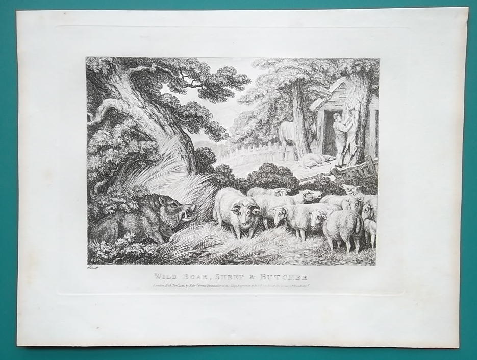 【Werbung vintage 】Aesop AESOP FABLES Wolf & Lamb Sheep - 1810 Original Etching Print